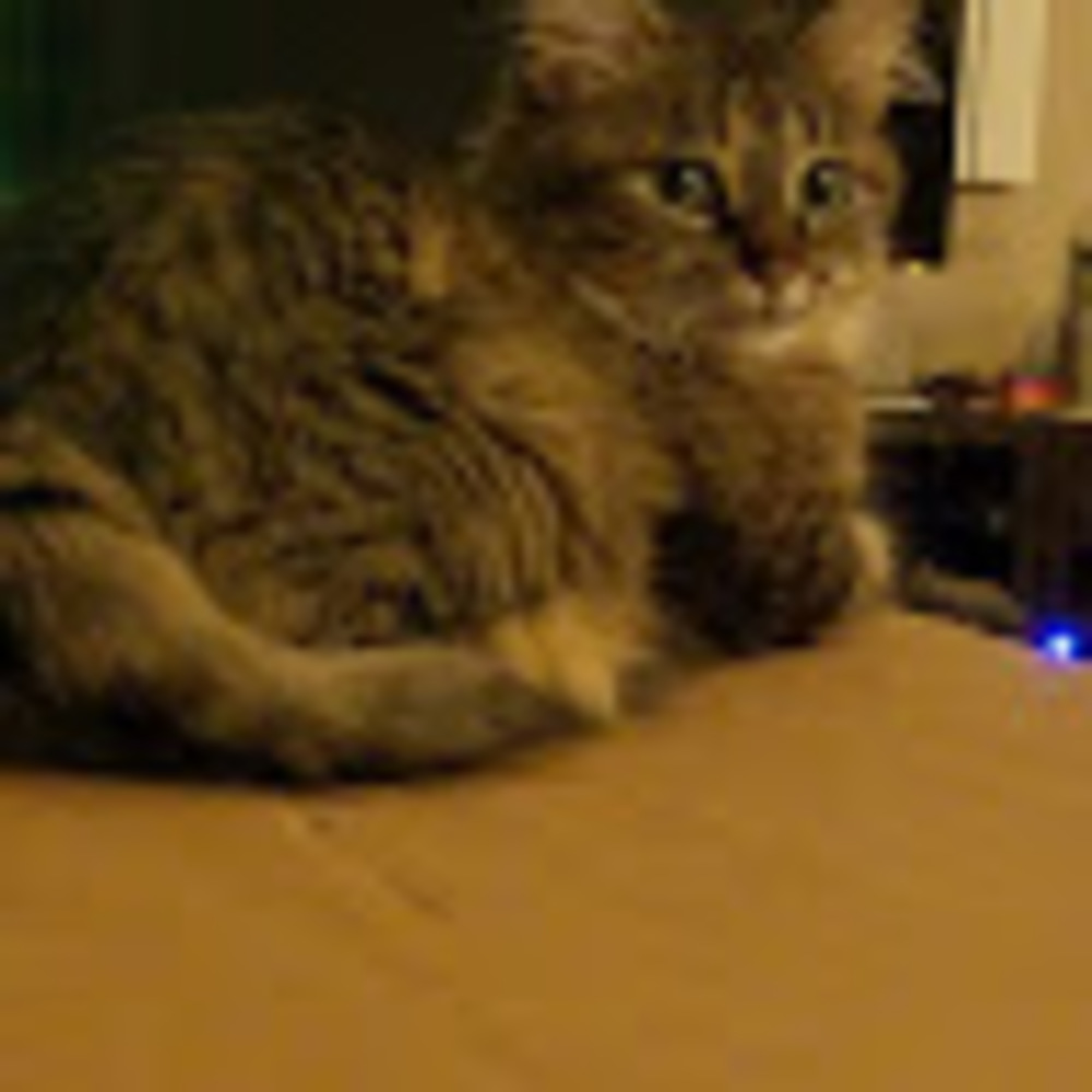 Meet your Posher, Xanthe